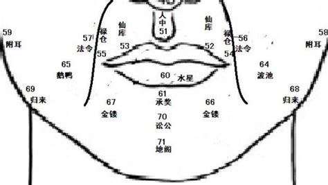 鼻子 面向|麦玲玲面相讲座之 鼻子 – 人相学